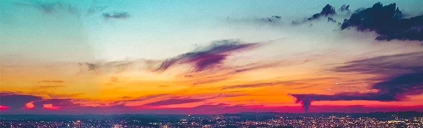 霍邱茶虫网_霍邱品茶